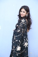 Sonu Thakur Black Saree Photos